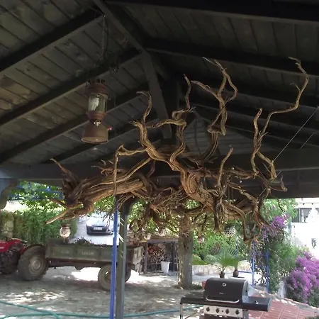 Lantställe Dag Evi Dalyan