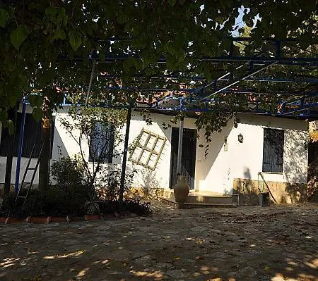 Lantställe Dag Evi *